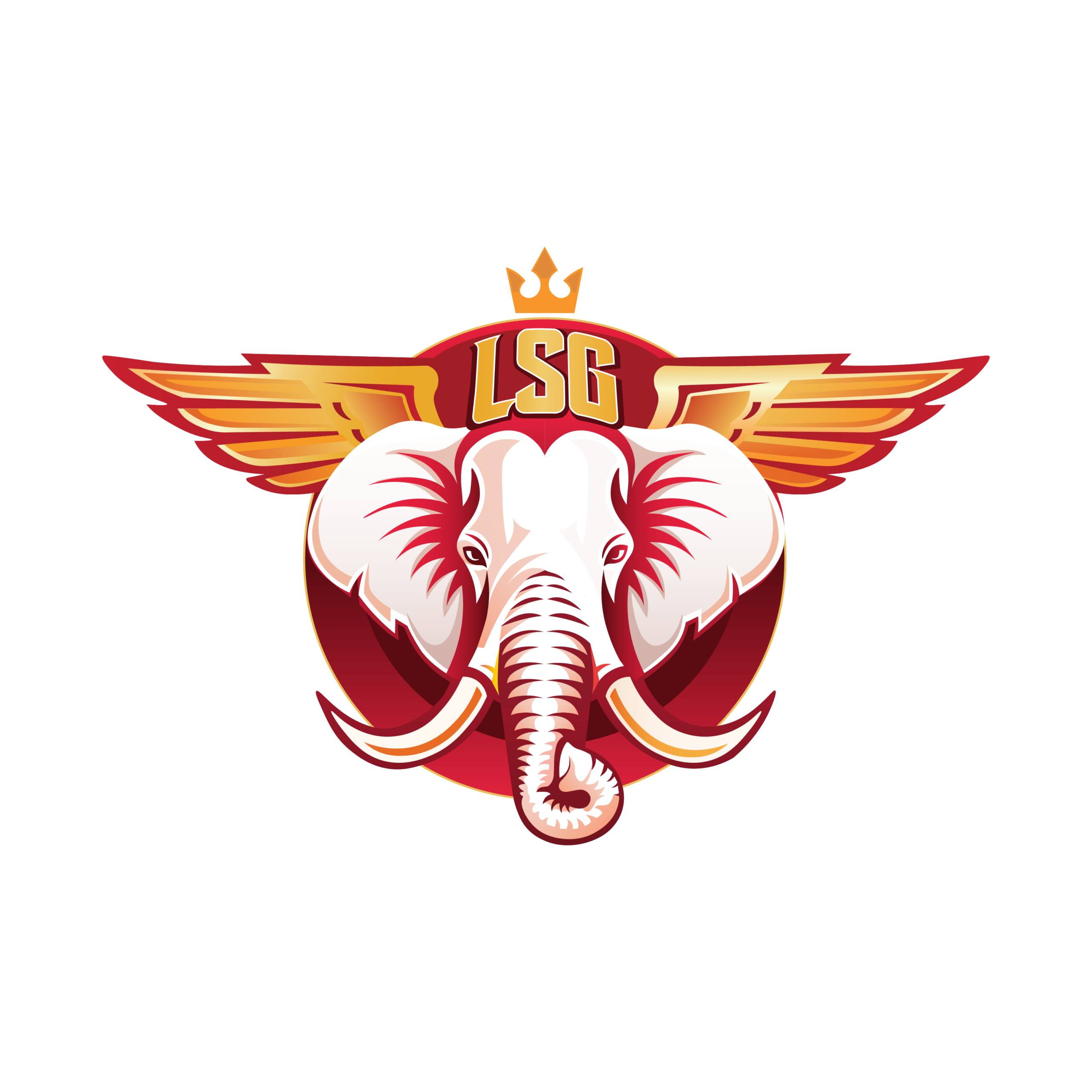 LSG